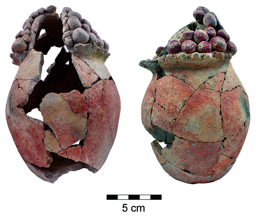 Fig6